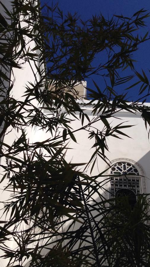 Riad Blanc De فاس المظهر الخارجي الصورة
